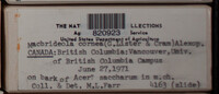 Image Associated With the Occurence